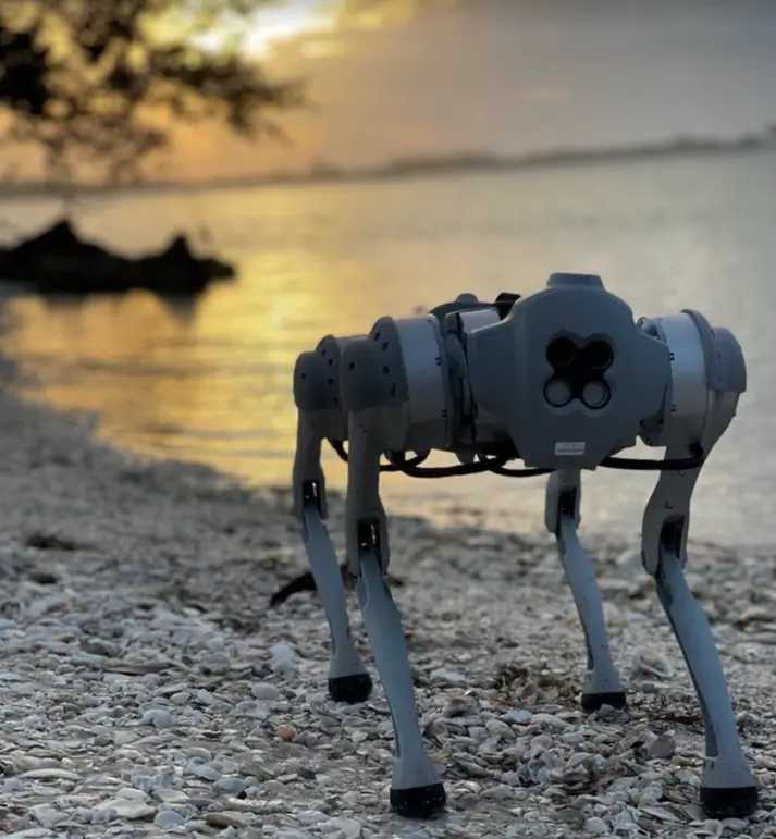 Robot deployment